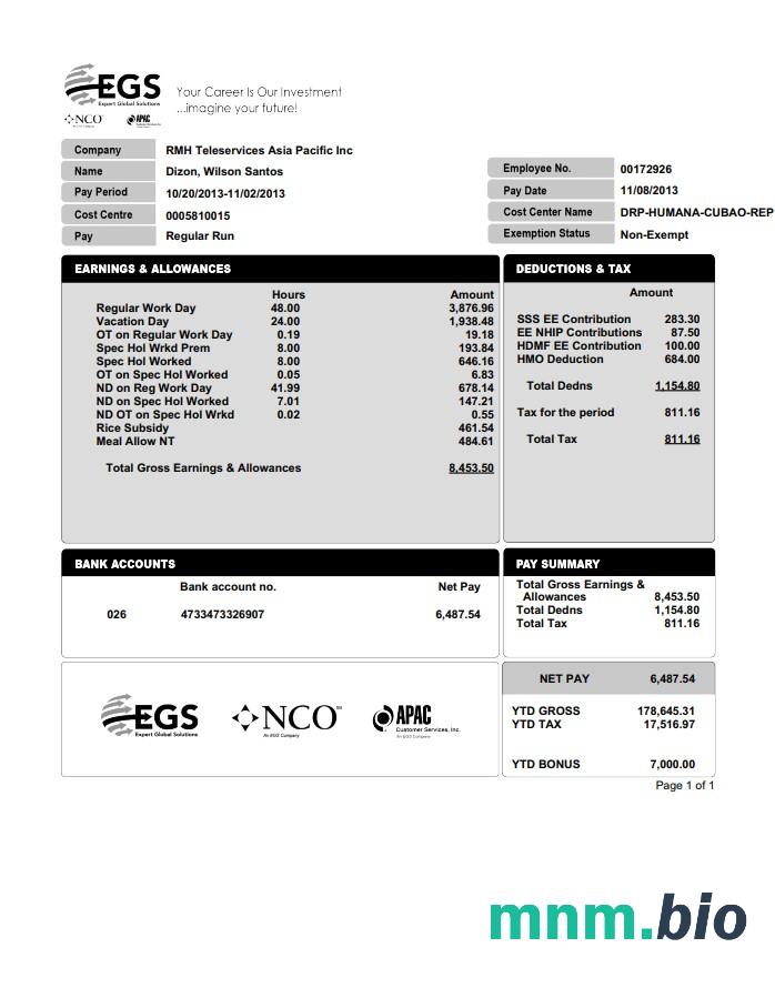 EXPERT GLOBAL SOLUTIONS COMPANY pay stub w formacie PDF i Word